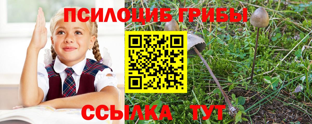 Галлюциногенные грибы мицелий Железноводск
